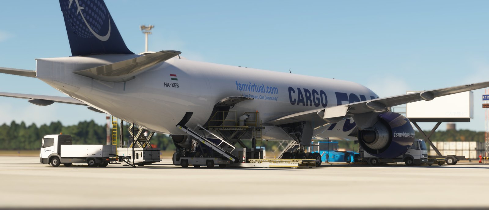 FSM Virtual Flight 7